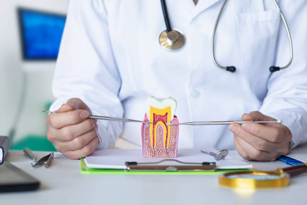 Best Emergency Orthodontic Services in Lake Shore, MD